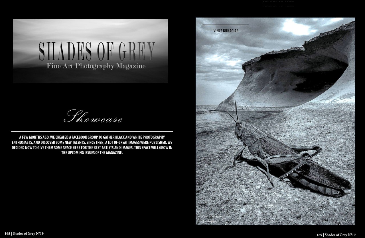 Shades of Grey 19 - Image 5