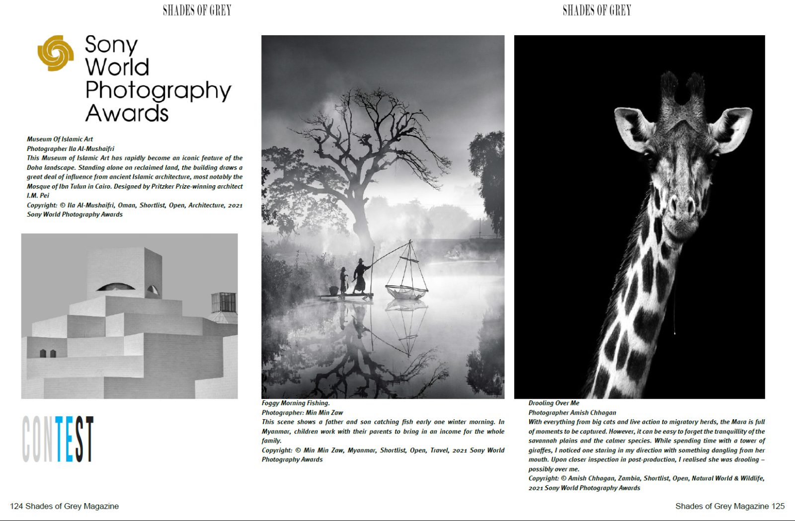 Shades of Grey 29 - Image 7