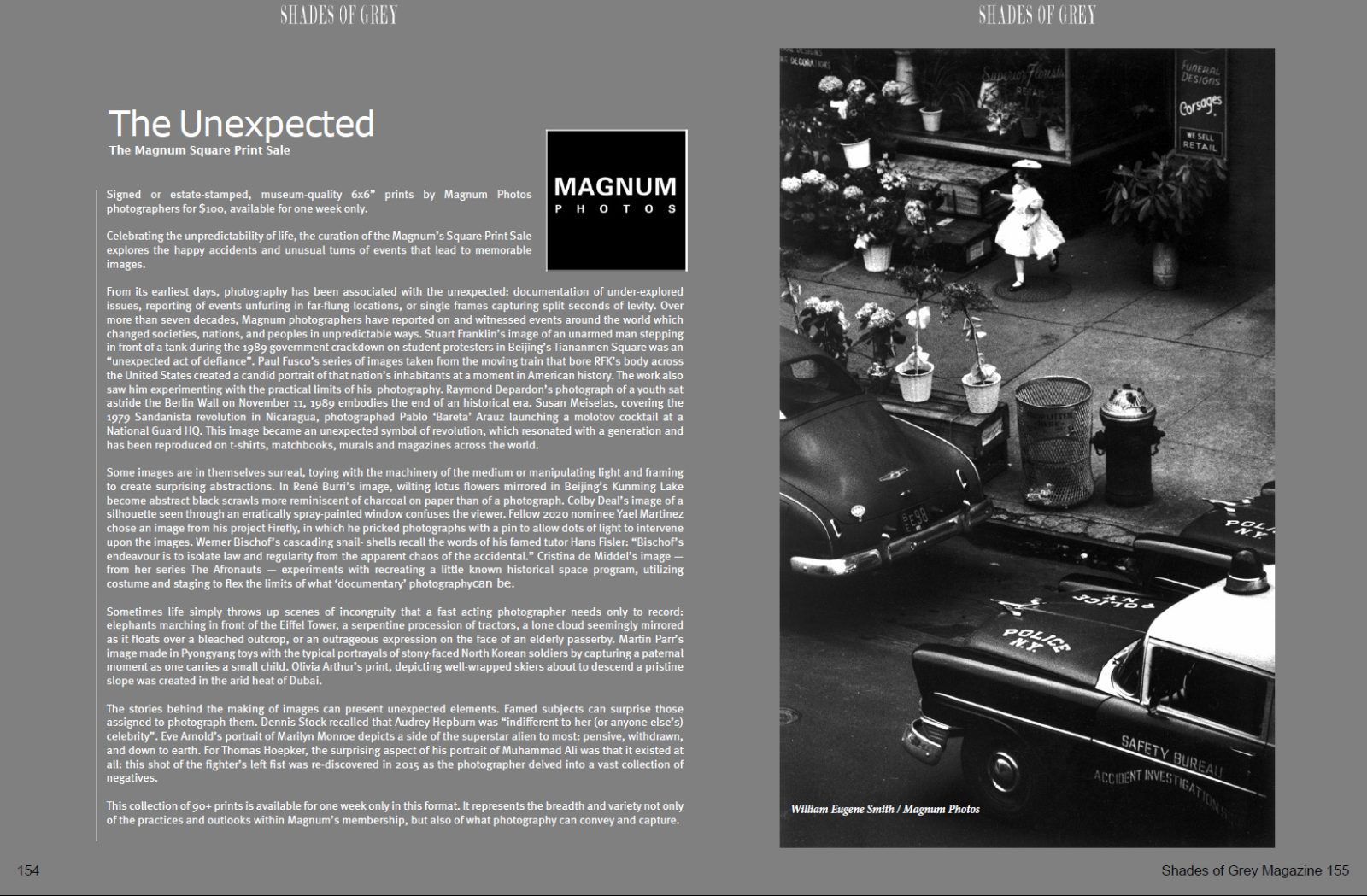 Shades of Grey 29 - Image 11