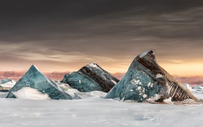 Juries announced for the 2019 Sony World Photography Awards
