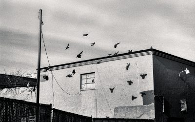 PERMANENT DRIFT By John Waller
