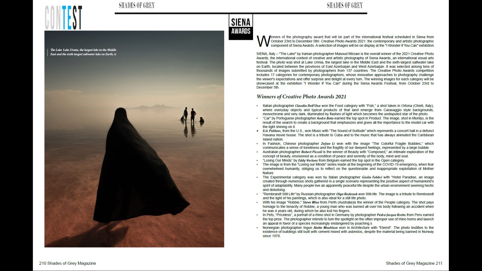 Shades of Grey 30 - Image 11