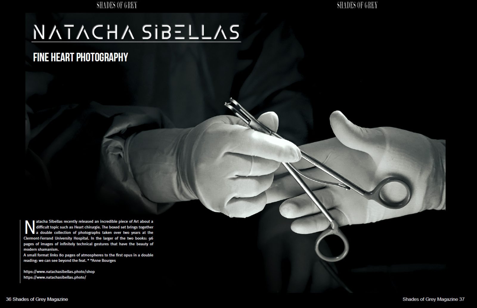 Shades of Grey 30 - Image 3