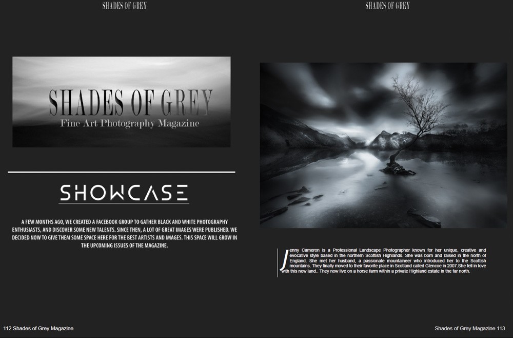 Shadess of Grey 32 - Image 5