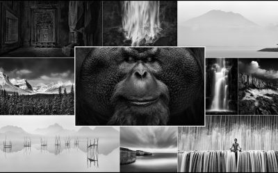 The Art of Black & White Editing