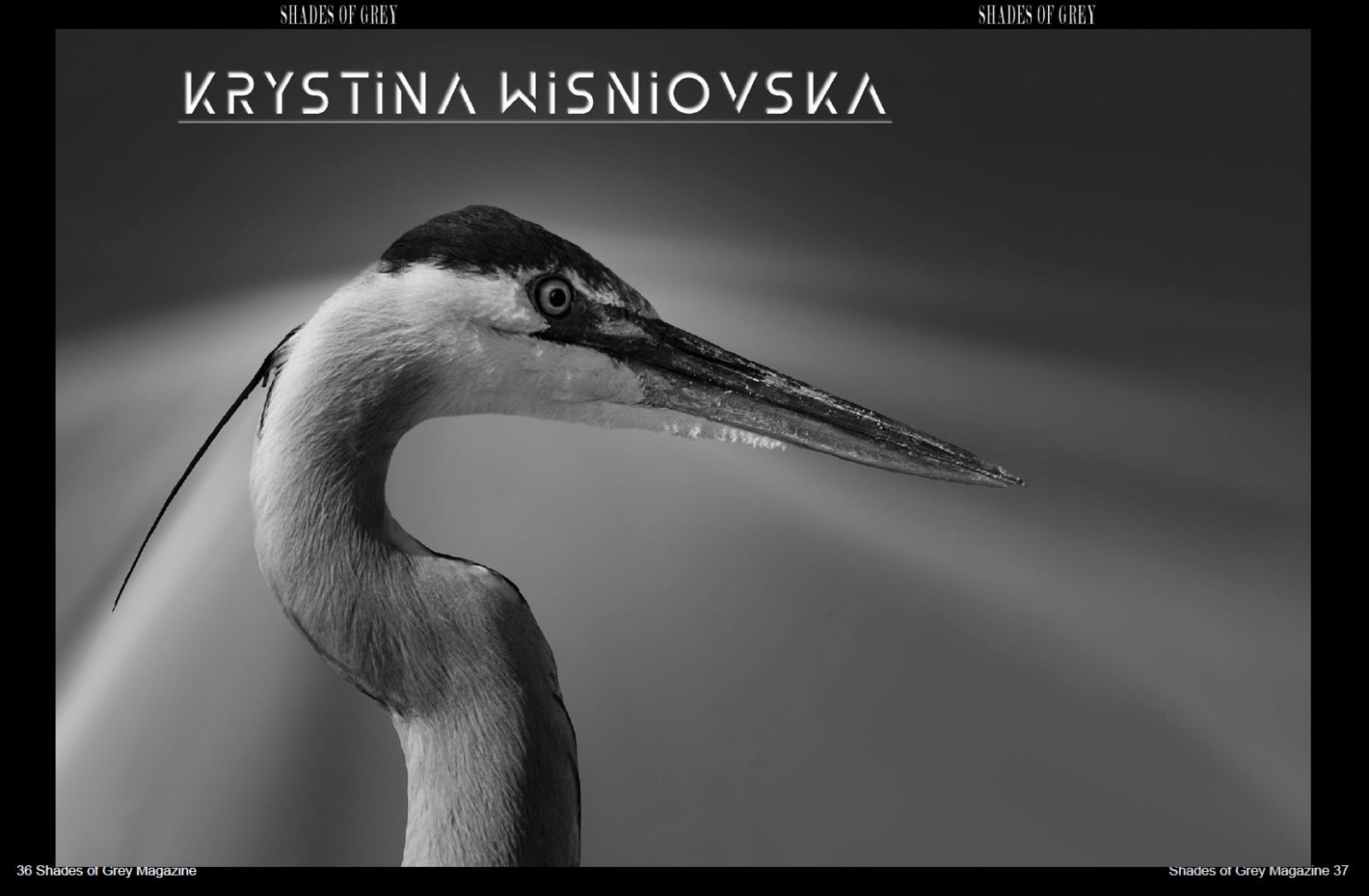 Shades of Grey 28 - Image 3