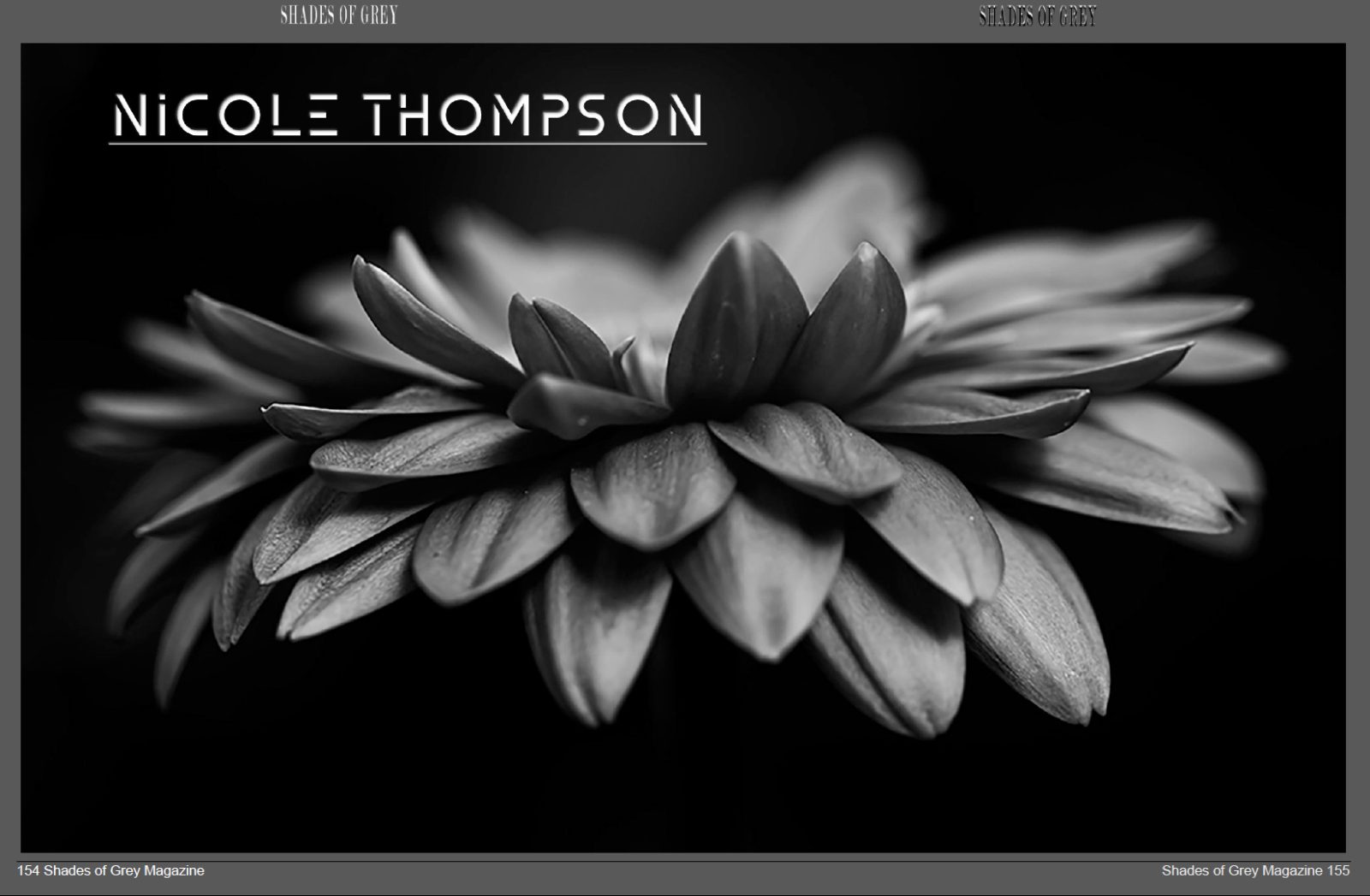 Shades of Grey 27 - Image 8