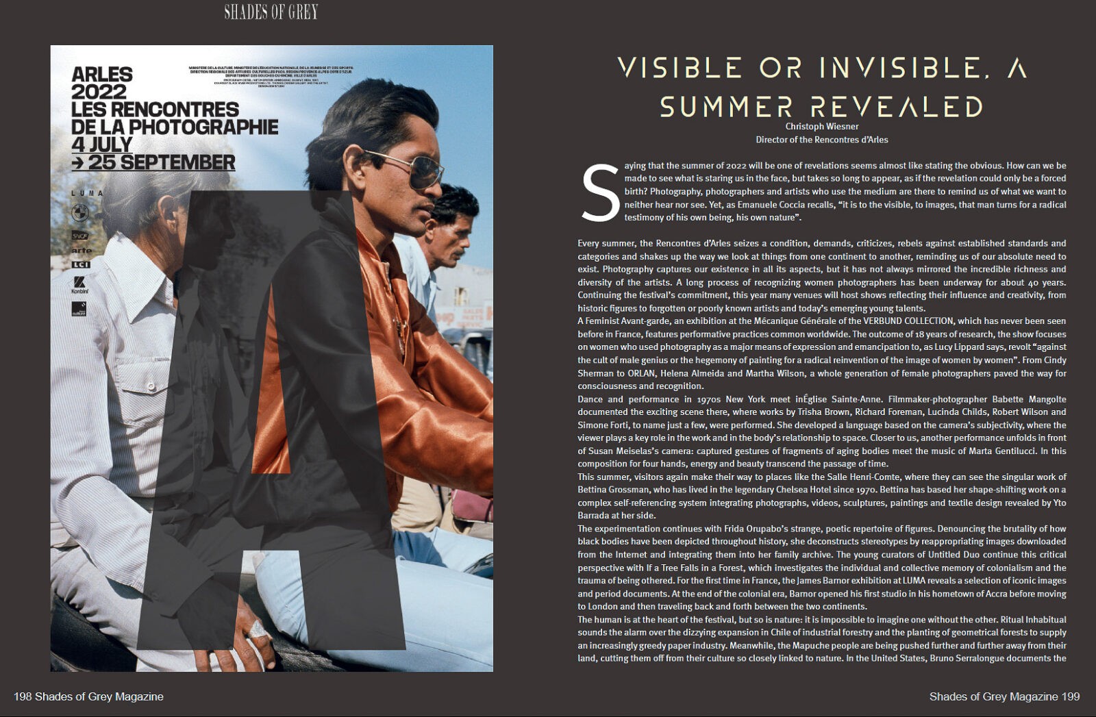 Shades of Grey 34 - Image 12